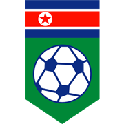 山东鲁能对