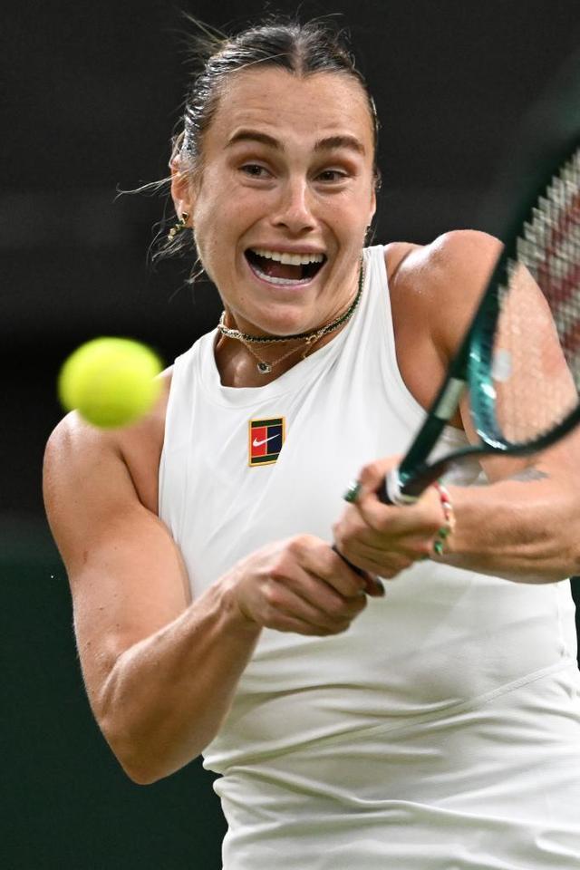 本次中网资 本次中网资