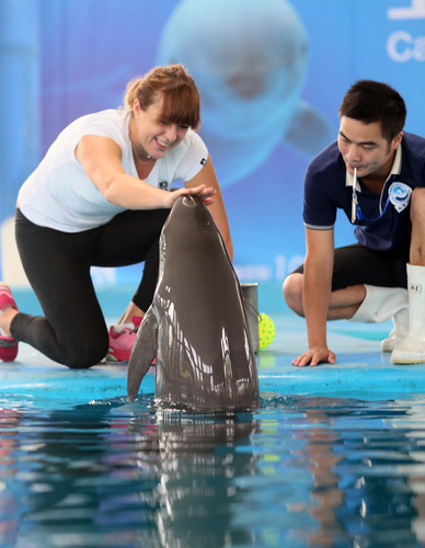 加强了后防 加强了后防